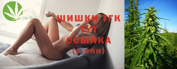гидра Ельня