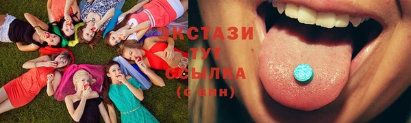 гидра Ельня