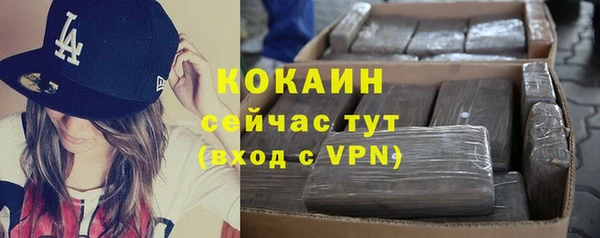 дмт Дмитриев