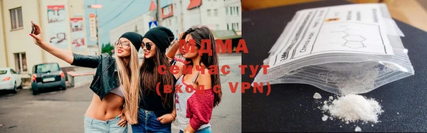 гидра Ельня