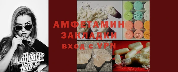 гидра Ельня