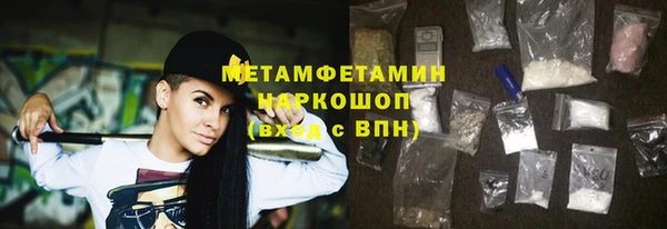 гидра Ельня