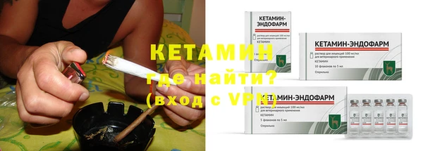 гидра Ельня