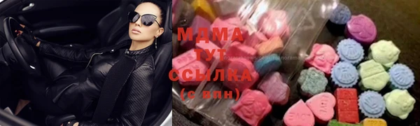 гидра Ельня