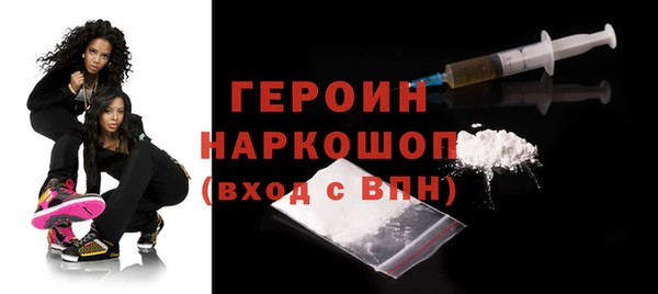 гидра Ельня