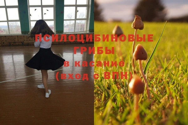 a pvp Елизово