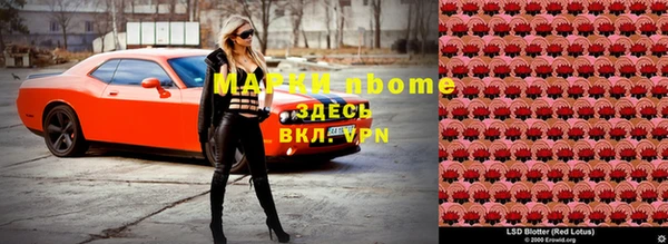 стафф Елабуга