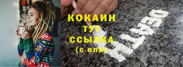 гидра Ельня
