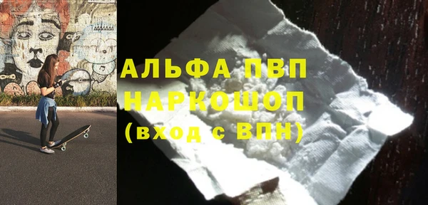 гидра Ельня