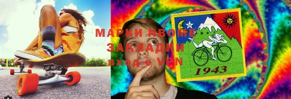 гидра Ельня