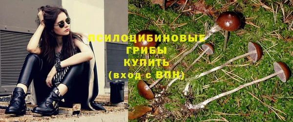a pvp Елизово