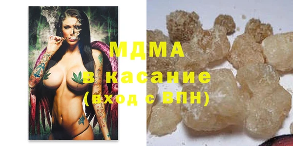 гидра Ельня