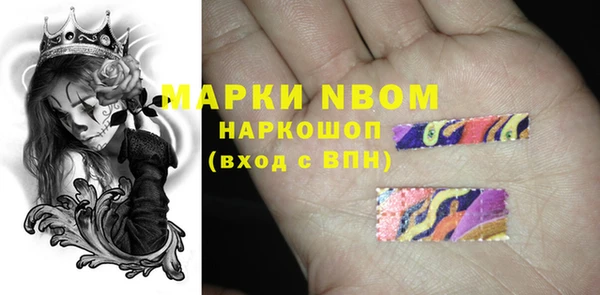 гидра Ельня