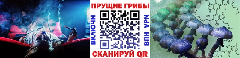 Псилоцибиновые грибы Psilocybine cubensis где найти Семёнов